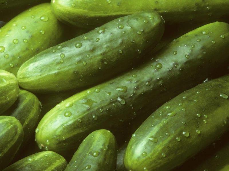 Cucumber Tips